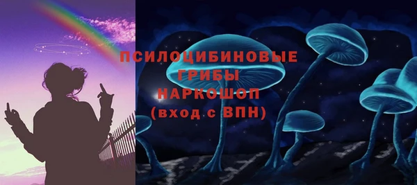 бутират Белокуриха